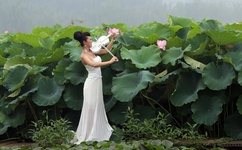 永久免费看真人动漫网站